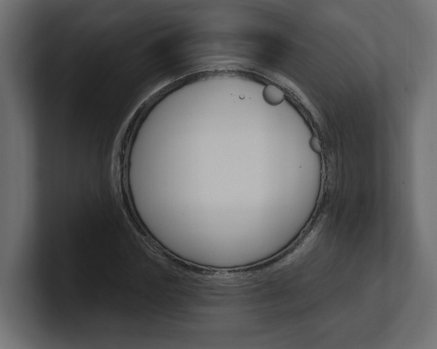 X0000101230827200806270943