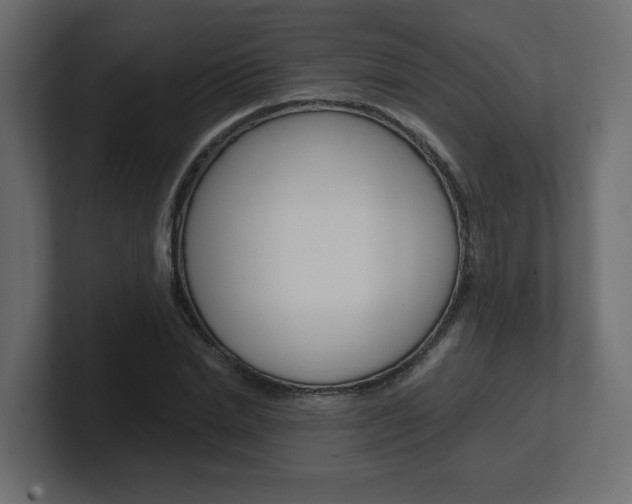 X0000101230830200806270944