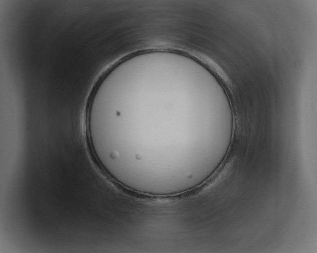 X0000101230839200806270944