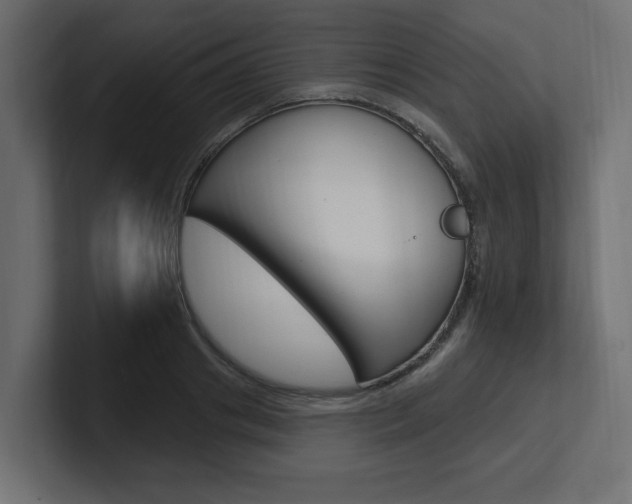 X0000101230841200806270944