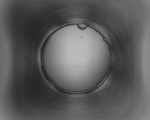 X0000101230843200806270944