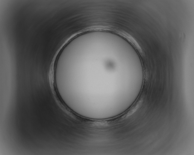 X0000101230844200806270944