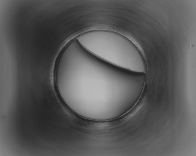 X0000101230845200806270944