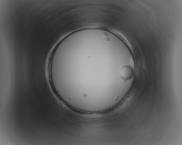X0000101230851200806270944