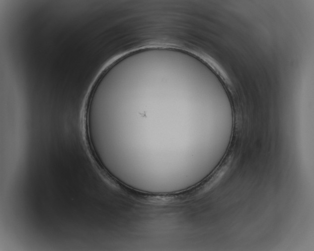 X0000101230854200806270944