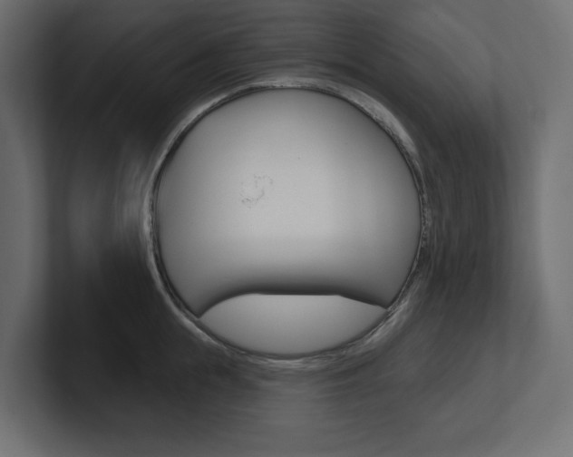 X0000101230855200806270944