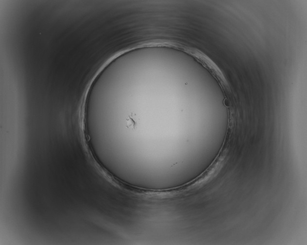 X0000101230860200806270944