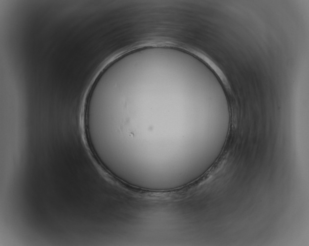 X0000101230861200806270944