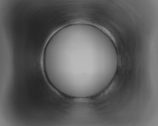 X0000101230863200806270944