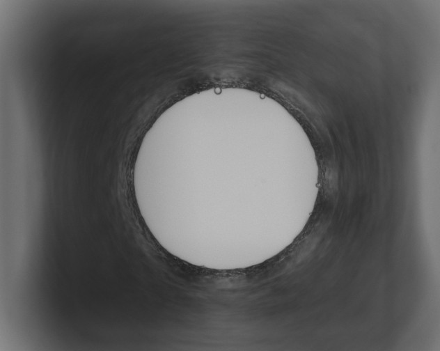 X0000101230865200806270943