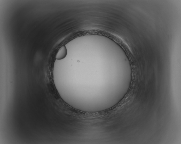 X0000101230871200806270943