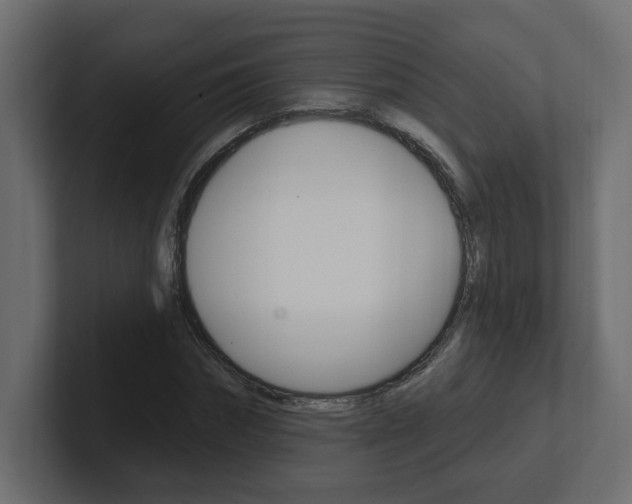 X0000101230874200806270943