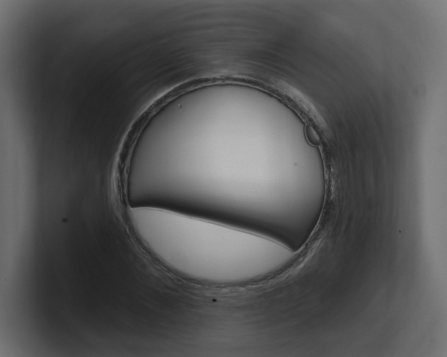 X0000101230876200806270943