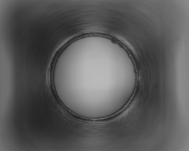 X0000101230877200806270943