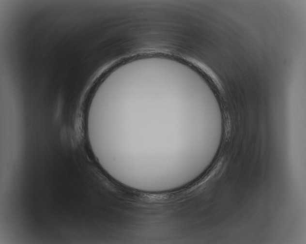 X0000101230878200806270943