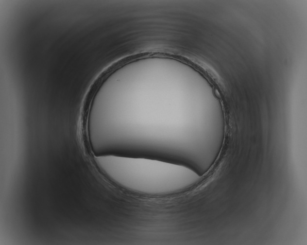 X0000101230880200806270943