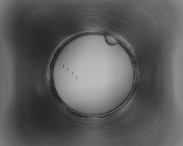 X0000101230883200806270943