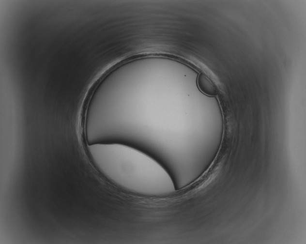 X0000101230885200806270943