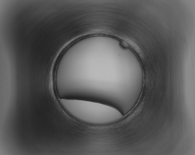 X0000101230888200806270943