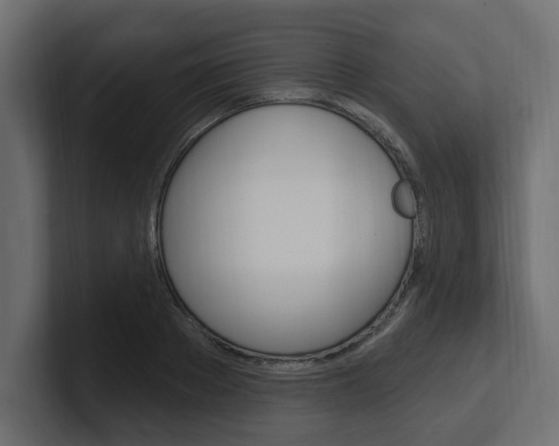 X0000101230889200806270943
