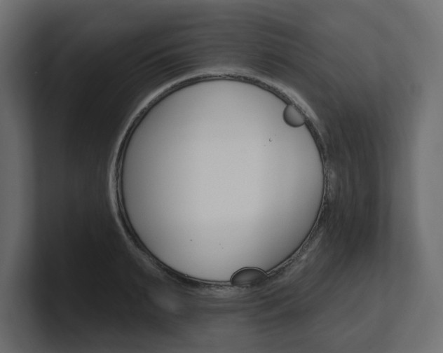 X0000101230895200806270943