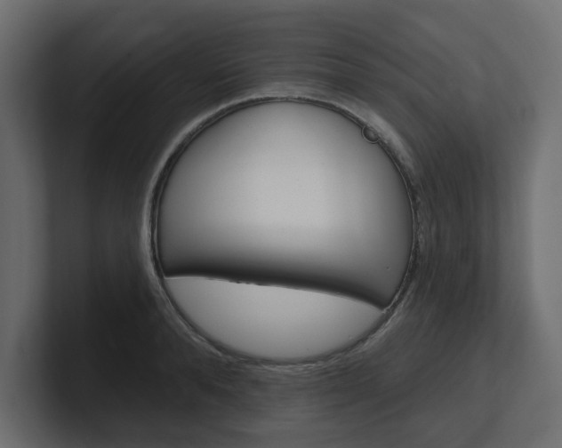 X0000101230896200806270943