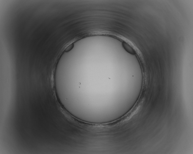 X0000101230897200806270943