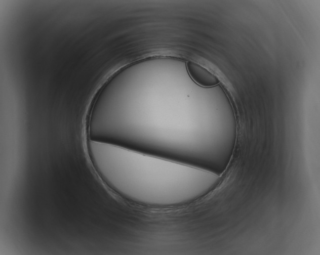 X0000101230898200806270943