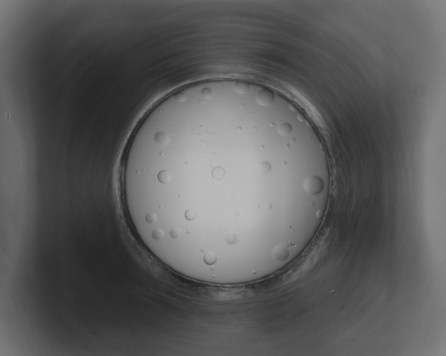 X0000101230899200806270943