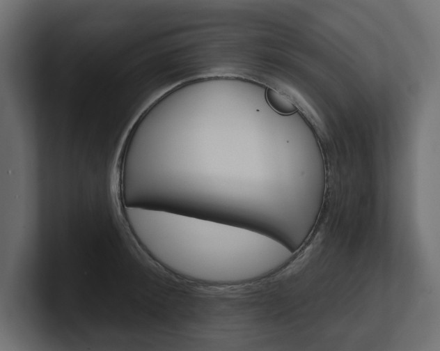 X0000101230900200806270943