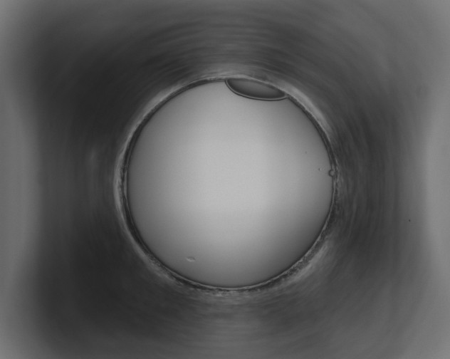 X0000101230901200806270943