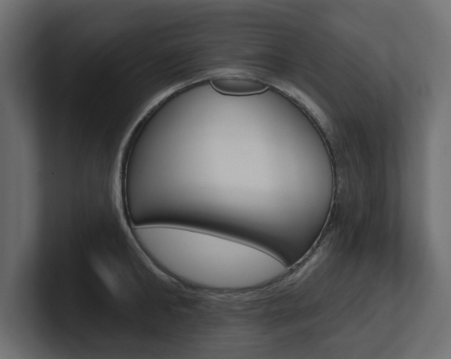 X0000101230902200806270943