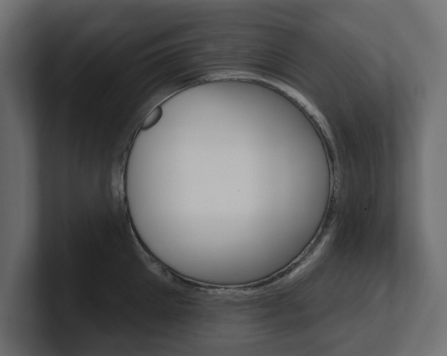 X0000101230905200806270943