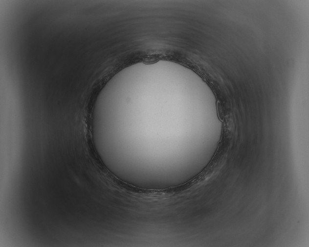 X0000101230916200806270942