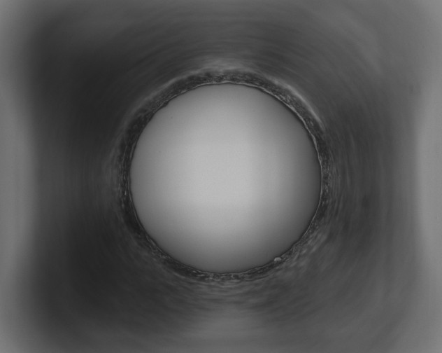 X0000101230919200806270942