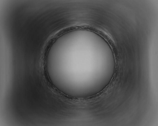 X0000101230920200806270942