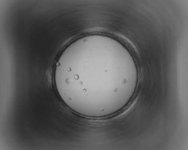 X0000101230921200806270942