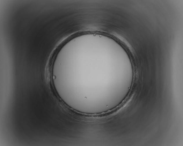X0000101230925200806270942