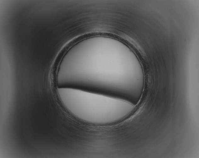 X0000101230926200806270942