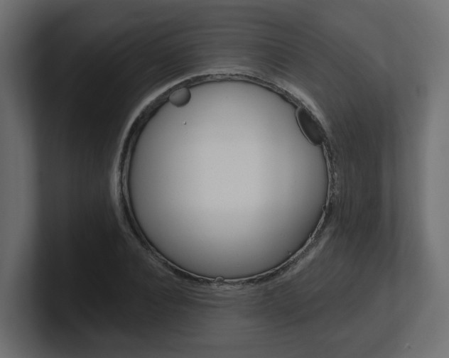 X0000101230928200806270942