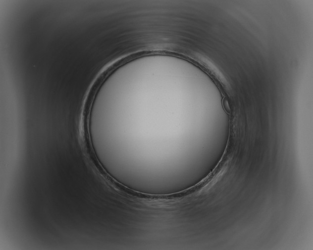X0000101230932200806270942