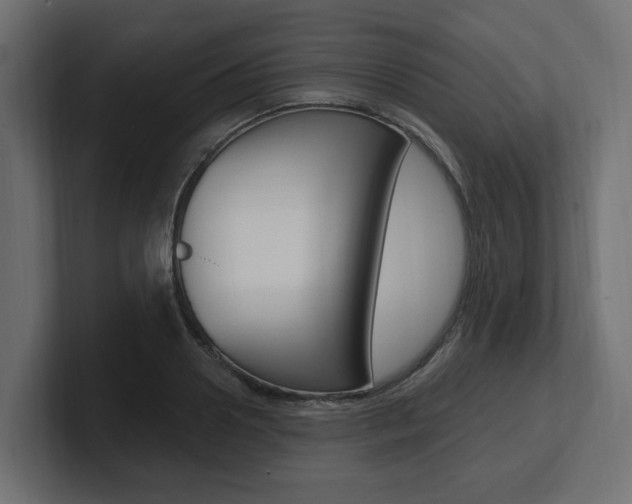 X0000101230938200806270942