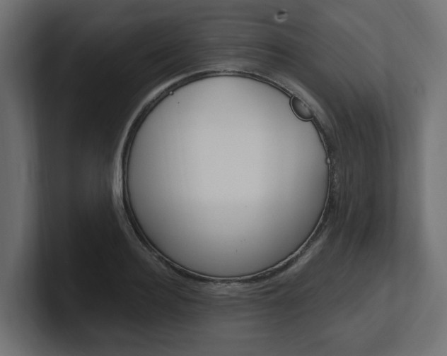 X0000101230940200806270942