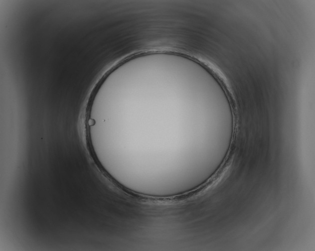 X0000101230941200806270942