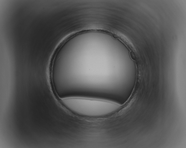 X0000101230942200806270942