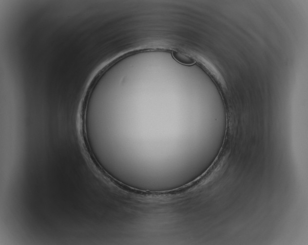 X0000101230944200806270942