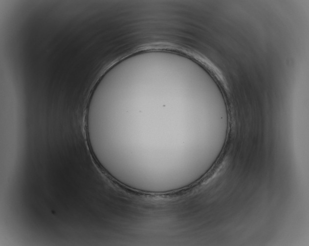 X0000101230945200806270942