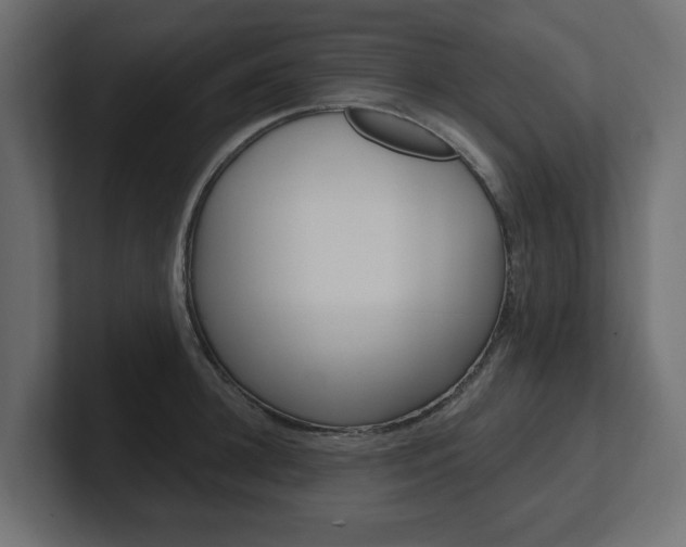 X0000101230948200806270943