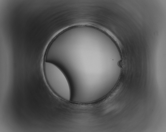 X0000101230951200806270943