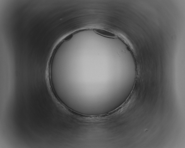 X0000101230952200806270943